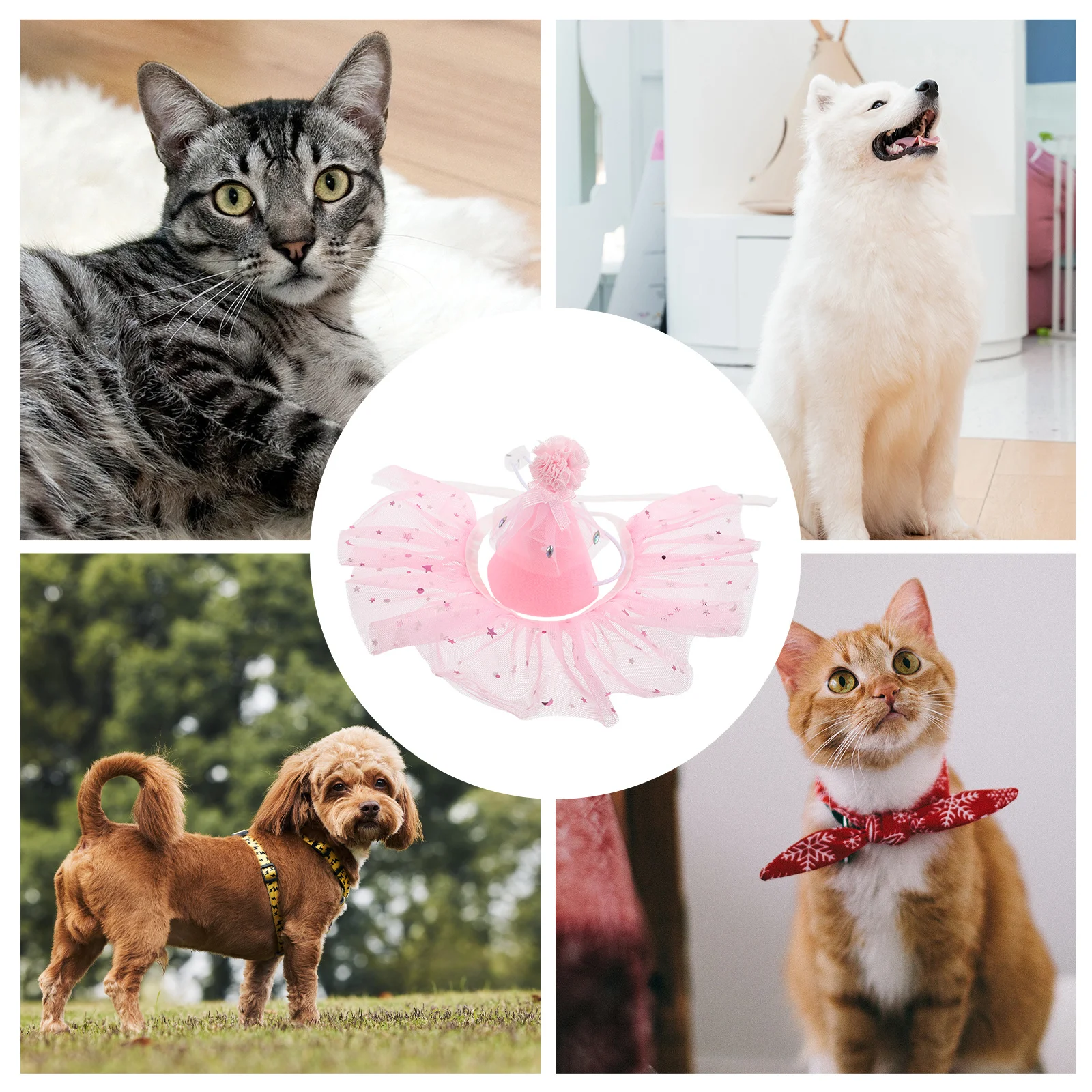 1 مجموعة الحيوانات الأليفة عيد ميلاد التبعي القط الكلب الأميرة زي بريق الترتر مريلة الدانتيل توتو حجر الراين ورأى قبعة الزي الطرف صور الدعائم #1