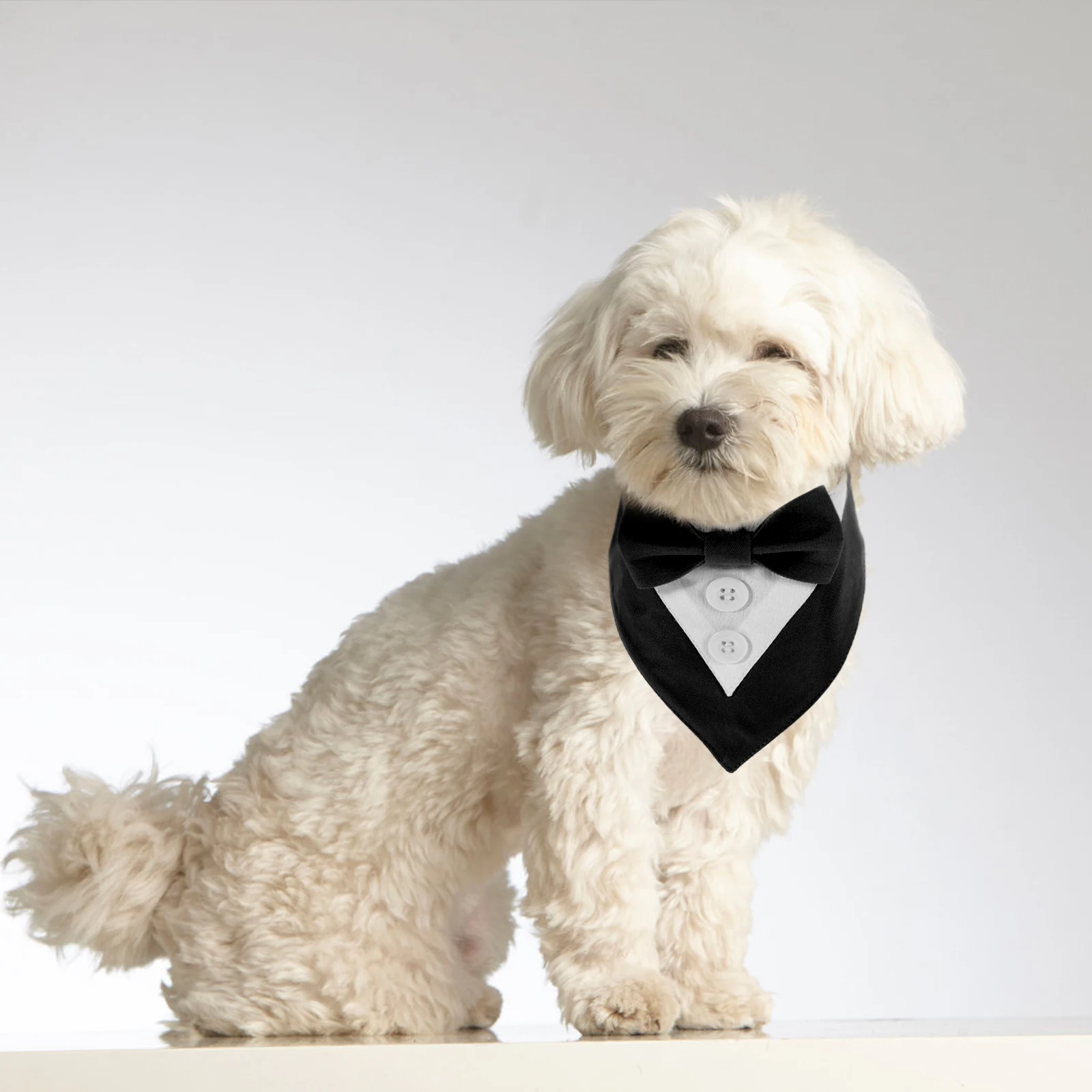 

Dog Party Scarf Durable Polyester Bowknot Design Simple Colors Easy Washable Pet Neckwear Dog Suit Collar Elegant Decor