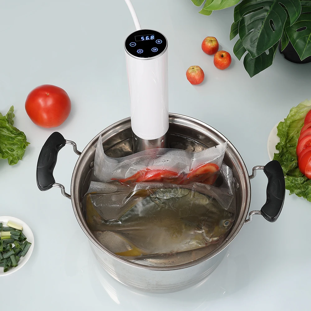 Appareil de Cuisine avec Réglage Intelligent de la Température, Mijoteuse en Surpoids pour Eau