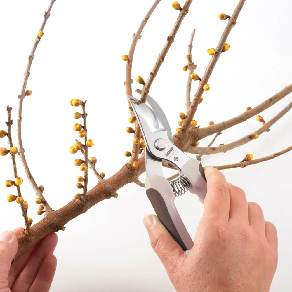 مقص البستنة الياباني - الفولاذ المقاوم للصدأ - مقصات التقليم مع الشفرات الرئيسية - 7.1 بوصة - صنع في اليابان