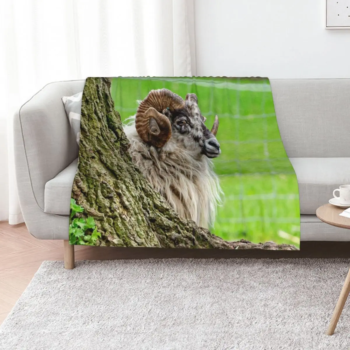 

Boreray Ram Throw Blanket for winter wednesday for sofa Travel Blankets