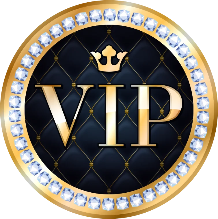 Special VIP payment link