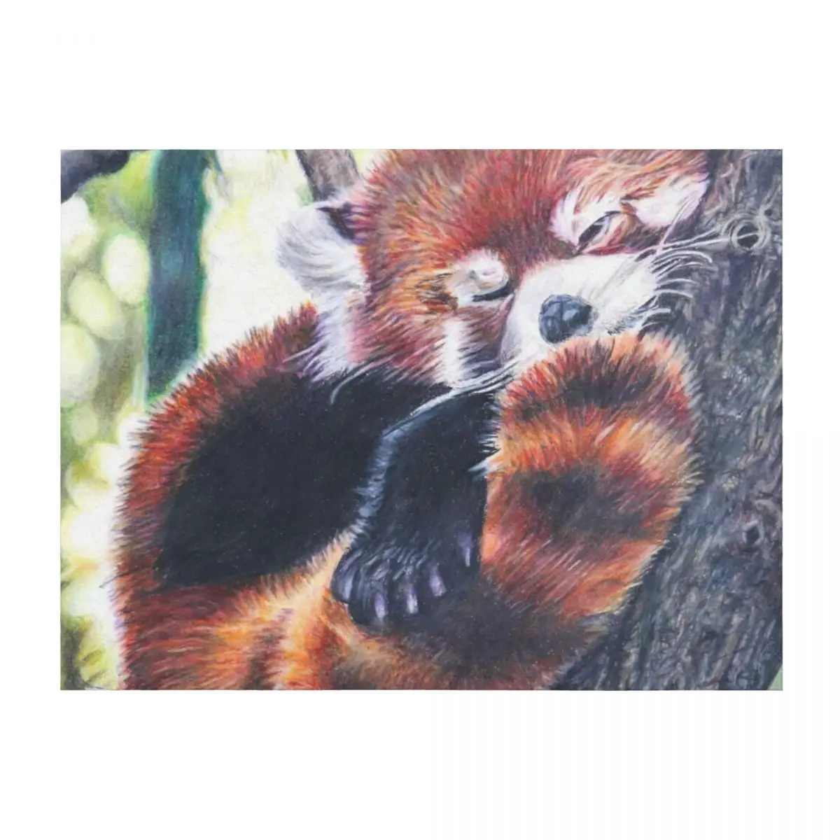 

Sleeping Red Panda Drawing Throw Blanket funny gift Summer Beddings Beautifuls Baby Blankets