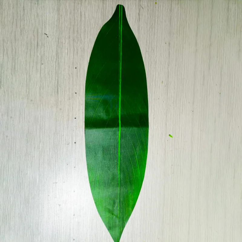 Free Shipping 65 CM Artificial Silk Ti Leaves Women Wear Accessories Hawaii Dance Party For Skirt DIY 100pcs/lot HM00001-A