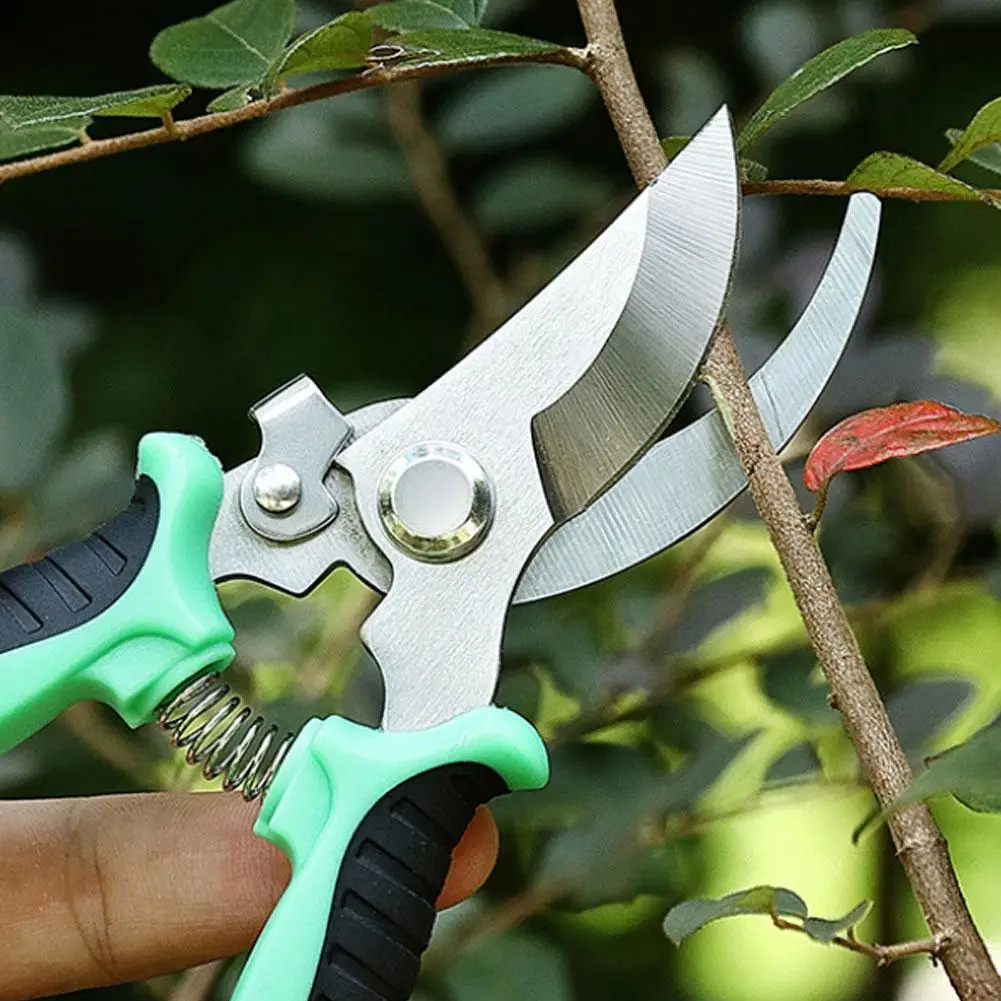 Tijeras de podar profesionales afiladas para jardín, podadoras de árboles, tijeras de mano para jardín, tijeras de pico. ﻿