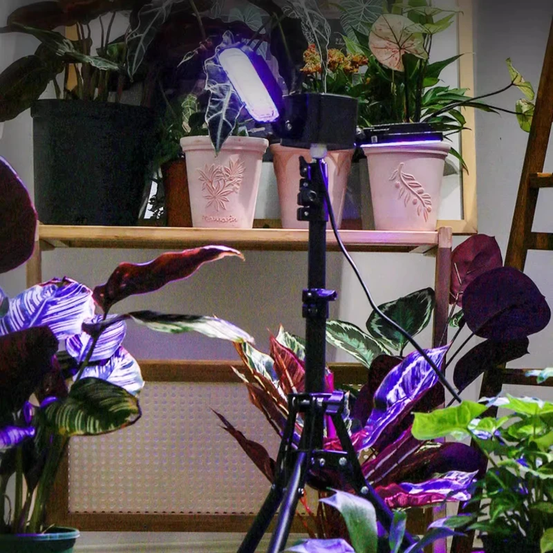 Bracket plant filling light succulent household colored succulent filling light indoor bracket cold source