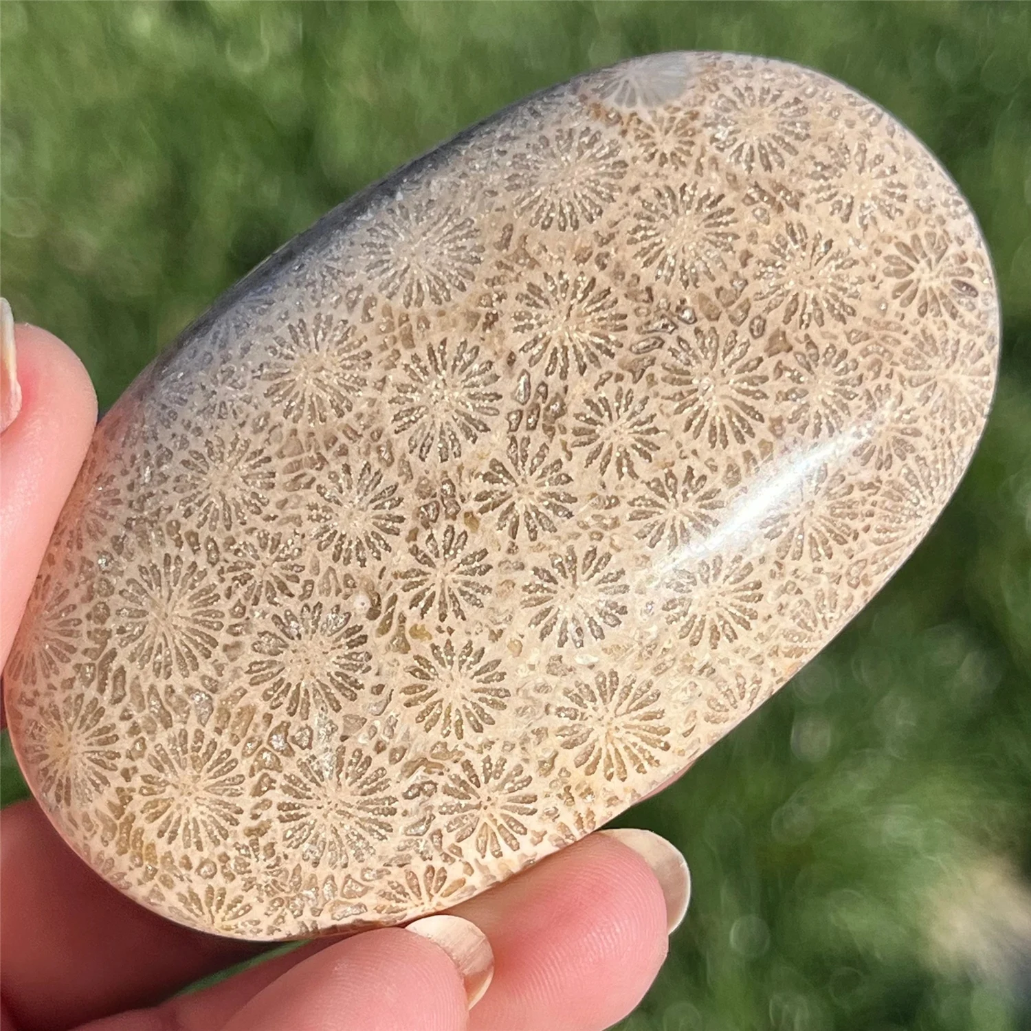1pc Coral Jasper Palm Stone, Bohemian Style Pocket Stone, Ideal for Christmas, Easter, Thanksgiving, Home Decor