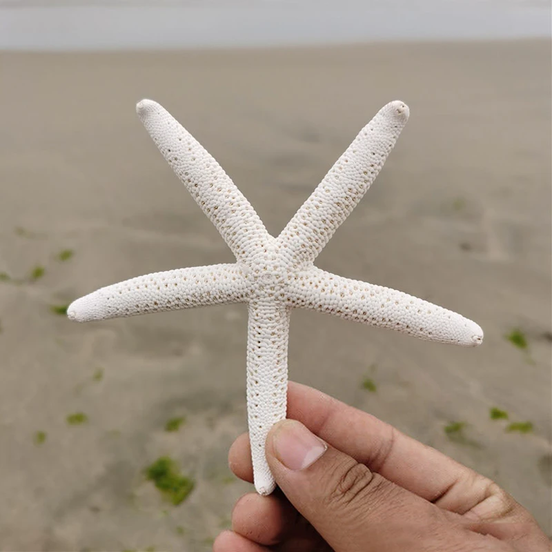 Artificial Starfish Solid Color Decorative Resin Beach Coastal Starfish Nautical Ornament For Wedding Party Home Decoration