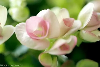 

SC 1.2V 3000mAh Rechargeable Battery Sc Sub C Ni-cd Cell Batteries with Welding Tabs for Electric Drill Screwdriver