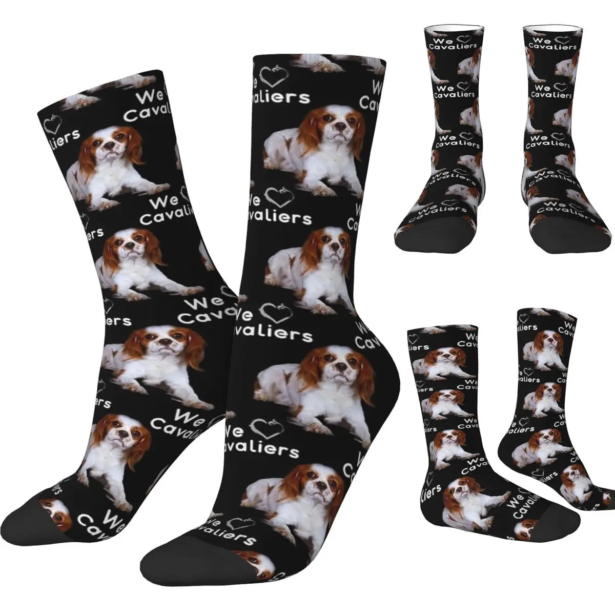 Cavalier King Charles Spaniel Looking Up Socks Kawaii Dog Retro Stockings Men Soft Cycling Socks Autumn Design Anti Sweat Socks