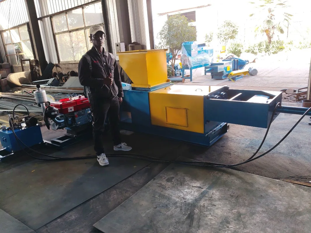 Small Scale 1 to 3 Ton/HR Red Oil  Double Screw Crude Palm Oil Extraction Automatic Cold Palm Oil Presser Processing Machine