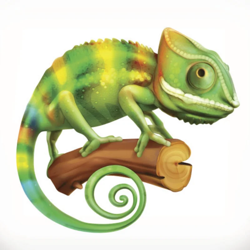 

RC AXIAL SCX10 МЕТАЛЛИЧЕСКАЯ ШАССИ РАМА 313 ММ КОЛЕСНАЯ БАЗОВАЯ С ПЕРЕДНЯЯ КОРОБКОЙ ПЕРЕДАЧА ДЛЯ 1/10 JEEP WRANGLER Оболочка для лодки