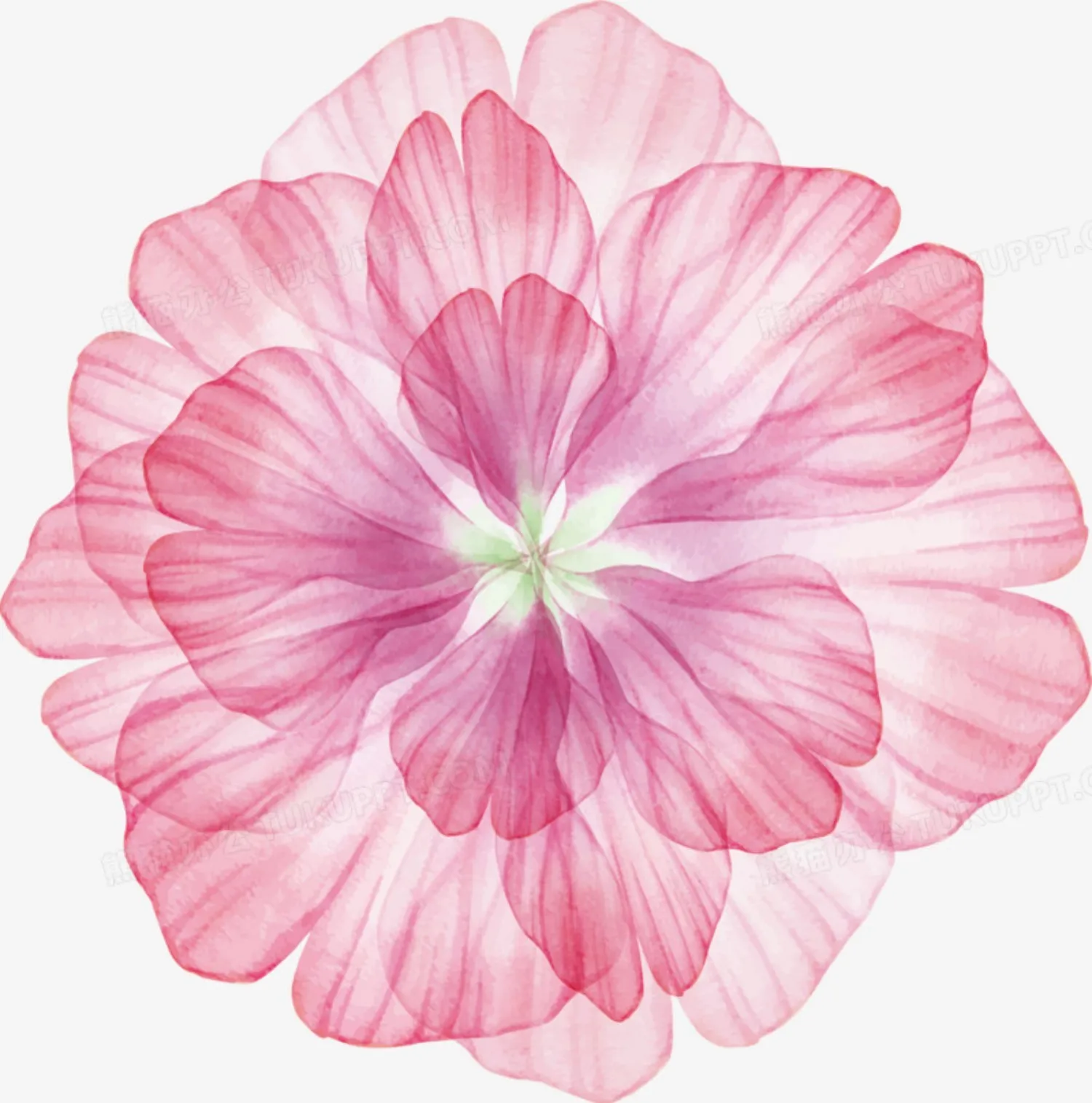300650-Romantic Floral Hand Paint By Numbers Home Decoration Art