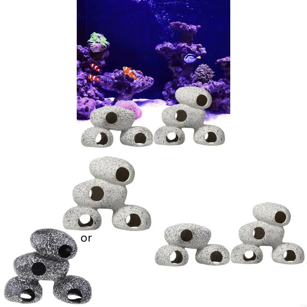 97QD CICHLID BERLEDING Stone Stone Stone Stones Habitat Profession