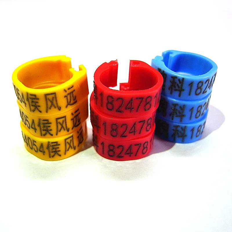 customized band products of pigeon pet pigeon rings bird rings pigeon bands