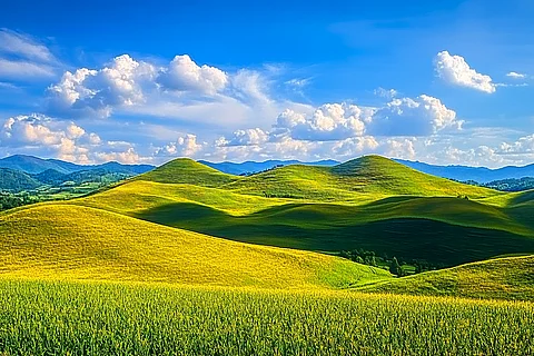 

For Honda HR-V 2016-2022 Under Engine Guard Board Splash Shield Mud Fender Plate Cover Black Car Mudflap Mudapron Mudguard Lid