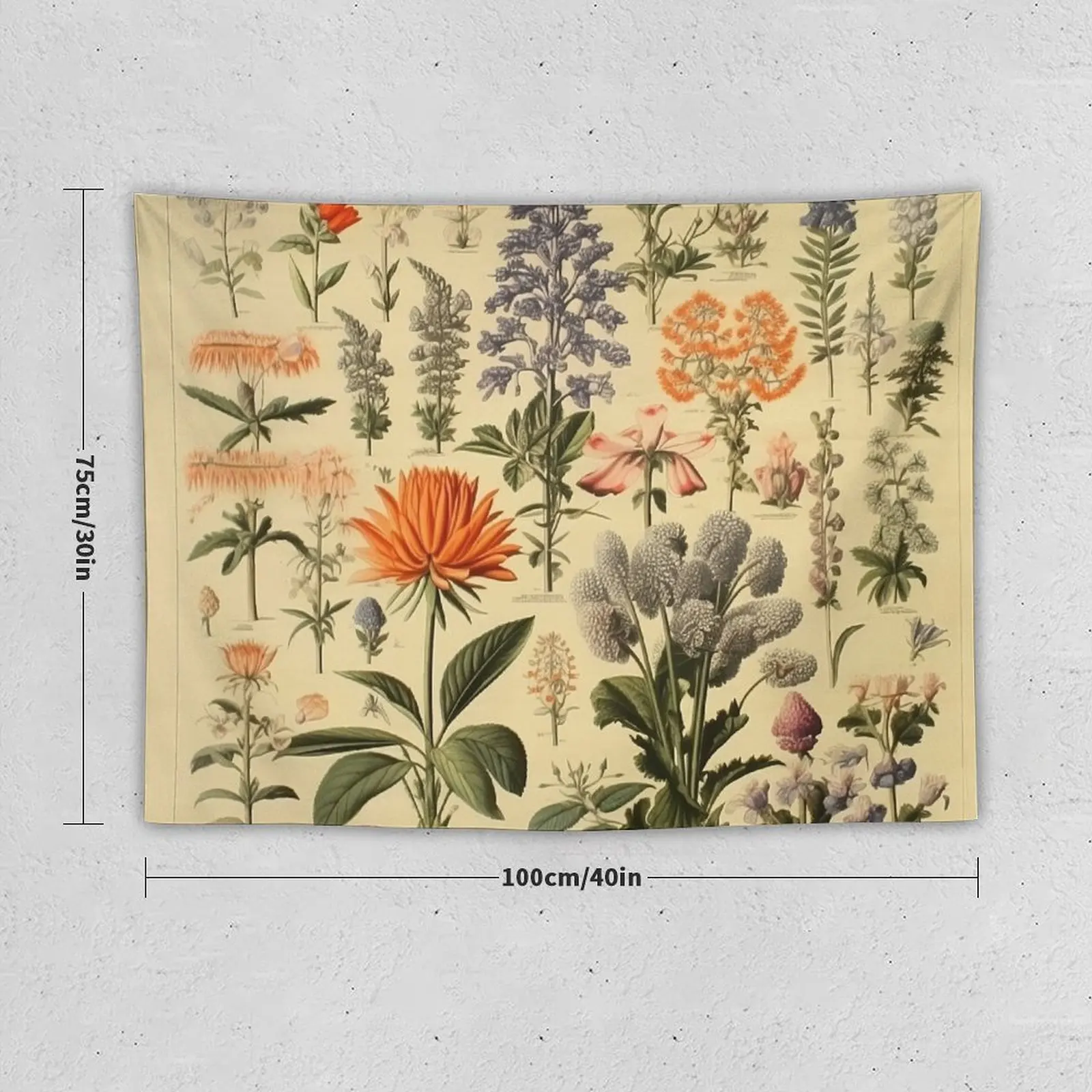 Botanical chart II Tapestry Room Decore Aesthetic Bedroom Decor Aesthetic Tapestry