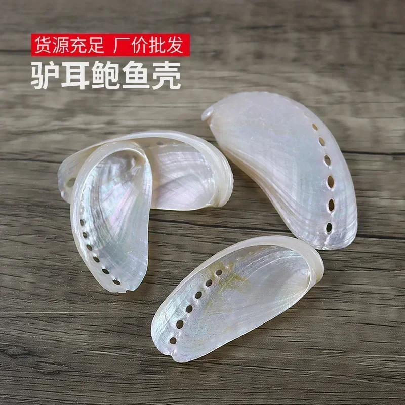 Natural Conch Abalone Shell Polishing New Zealand Big Shell Donkey Ear Abalone Photography Props Fish Tank Landscape Decoration