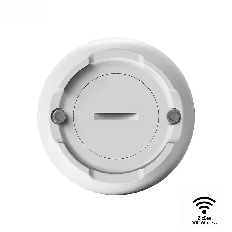 ZEXEF – capteur de fuite d'eau Tuya ZigBee, détecteur d'inondation avec contrôle intelligent de la vie, Compatible avec Alexa, Assistant domestique, alarme de fuite d'eau