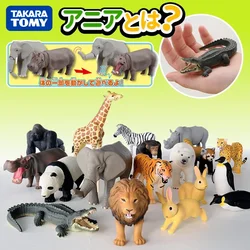 Original TAKARA TOMY Tomica Simulation Wild Animal Tiger Crocodile Elephant Lion Panda Orangutan Model Toys Gift for Children