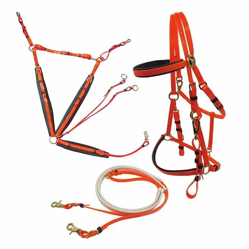 مجموعة الرسن واللجام على الطراز الإنجليزي للحصان، رين التحمل من مادة PVC المصنوعة من النايلون المتين + Martingale