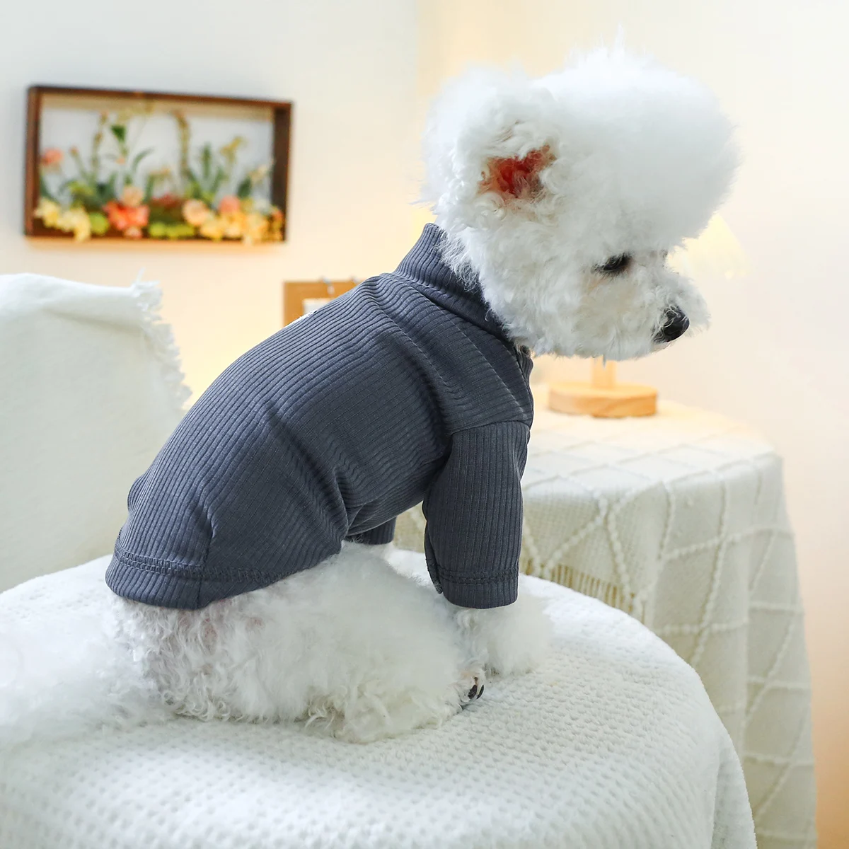 1PC Pet Clothing Spring and Autumn Pullover Elastic Dark Grey Little White Bear Bottom Shirt Suitable for Small and Medium Dogs