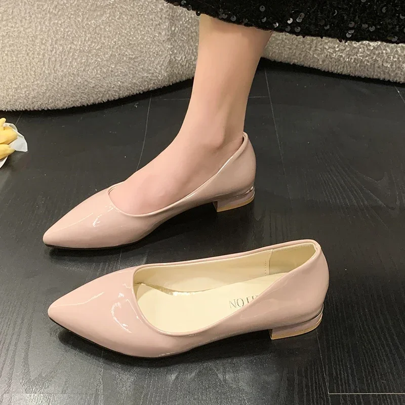 

Low Heel High Heels thick Wild Women's Shoes Simple Comfort Work Shoes Shallow Mouth Pointed Single Fashion Pumps Big Size 43