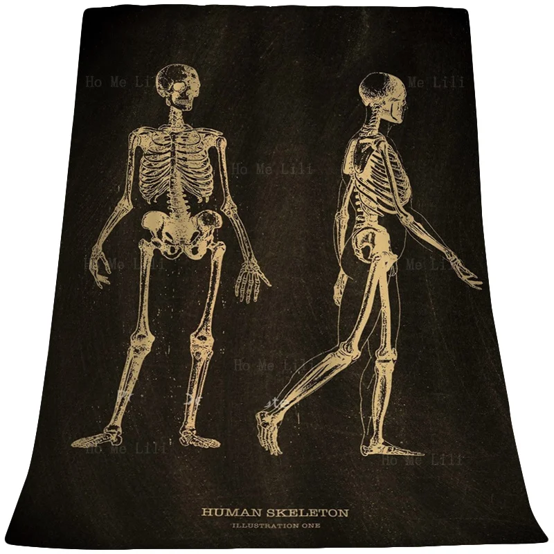 Medical Clinic Human Anatomy Art Skeletal Organs Picture Muscle Aesthetics Flannel By Ho Me Lili Suitable For All Seasons