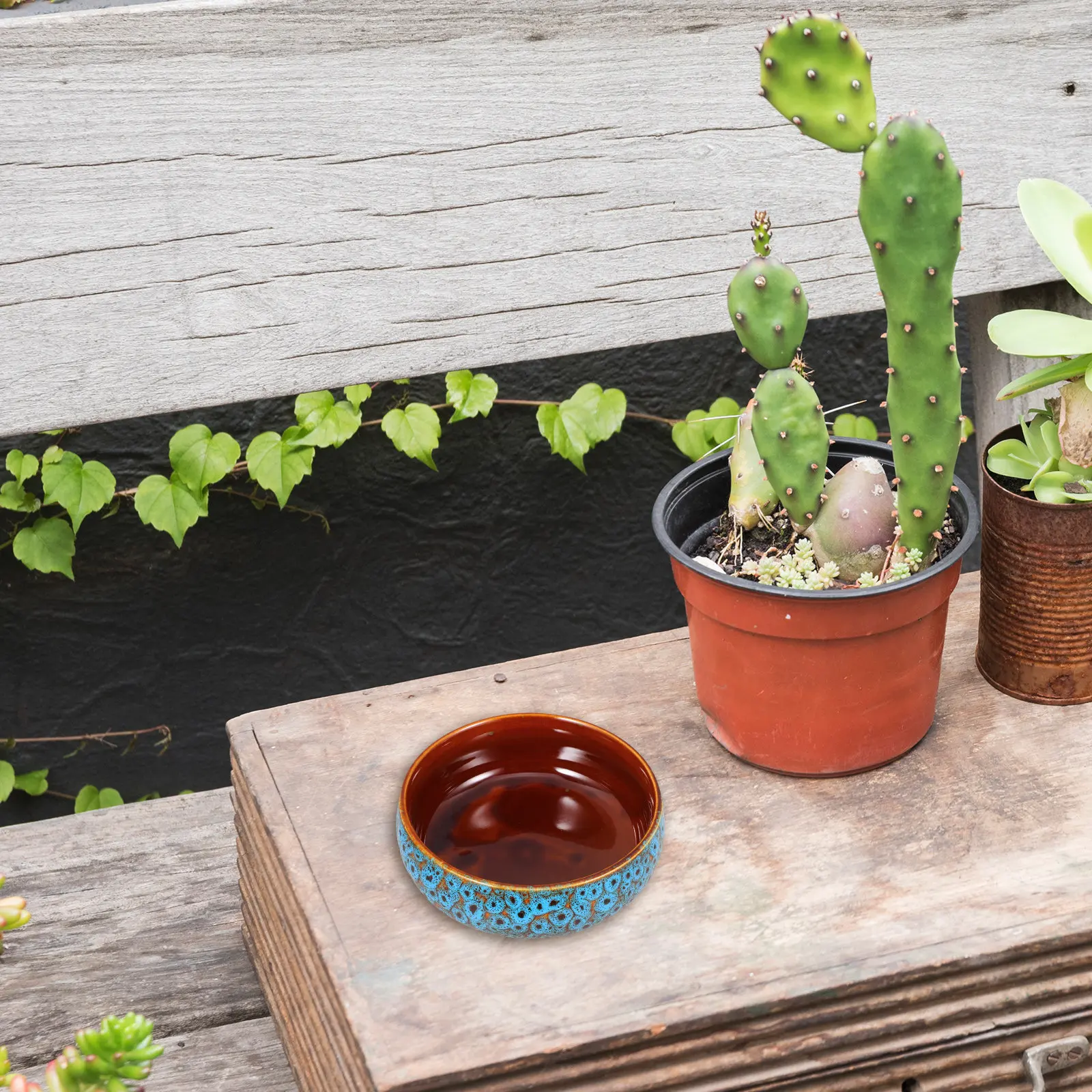 Ceramic Water Lily Bowl Planter Hydroponic Lotus Container No Hole Vintage Glazed Artistic Pot Indoor Outdoor Succulent