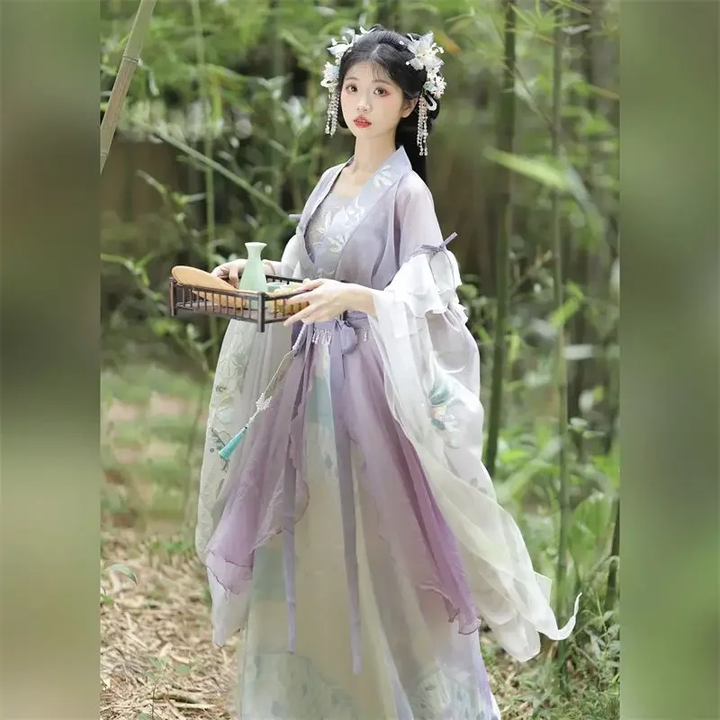 Robe Hanfu traditionnelle chinoise pour femmes, broderie de prairie, costume de danse folklorique de scène, rétro, dynastie Son