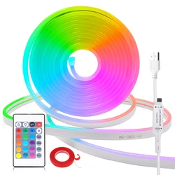 DC 5V USB RGB Neon LED Streifen Licht 24key Fernbedienung 108LED/M Flexible Band Weihnachten Seil Lichter TV Hause Dekoration 1M 2M 5M