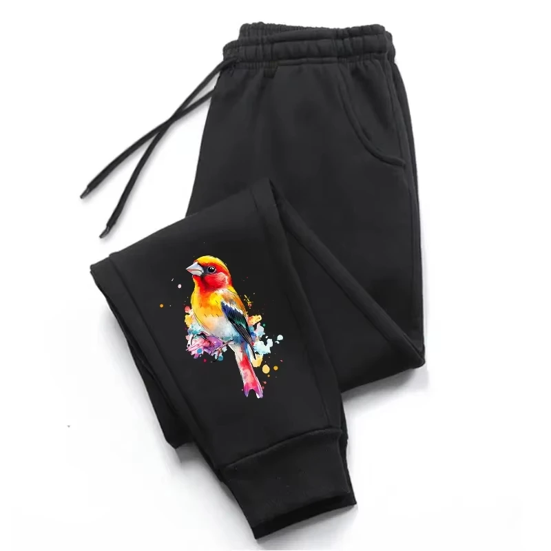 2025 New Arrival Women's Casual Sweatpants High Quality Drawstring Soft Long Pants All Season Daily Sports Jogging Trousers