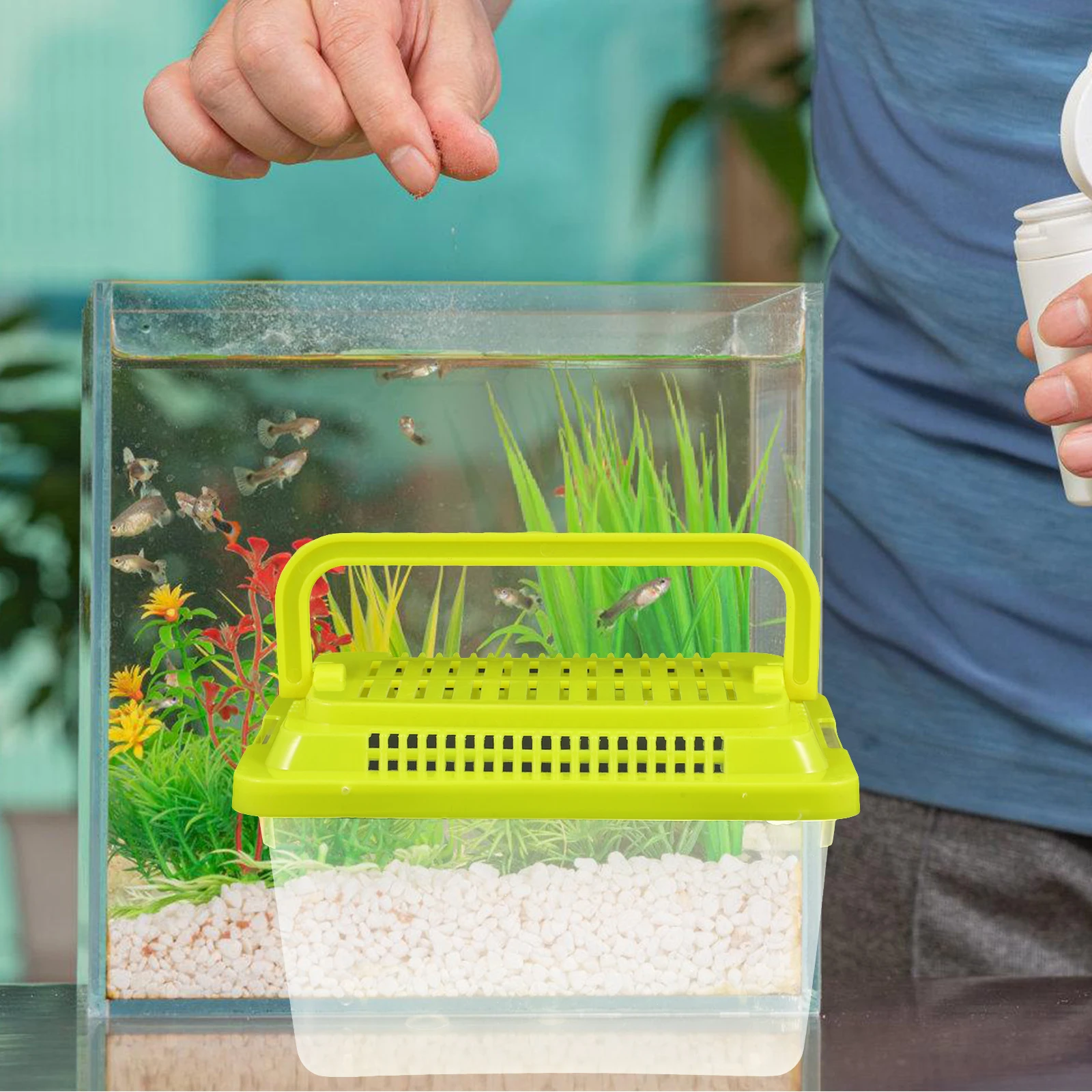 

Pet Transport Box Fish Tank for Kids Terrarium Small Plastic Observing Turtle Carrier Your