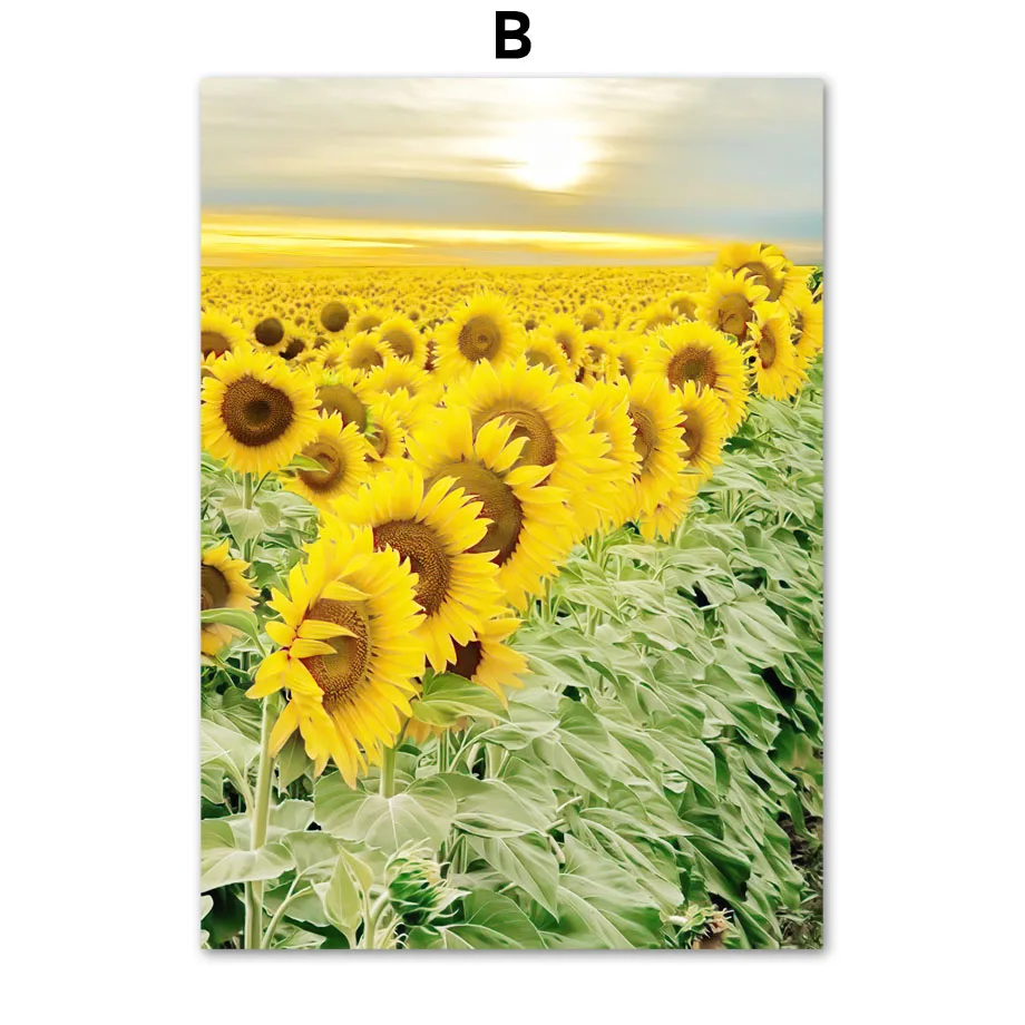 الأصفر المثالية عباد الشمس الفتيات زهرة الشمال الملصقات و يطبع قماش اللوحة جدار الفن صور لغرفة المعيشة ديكور المنزل #5