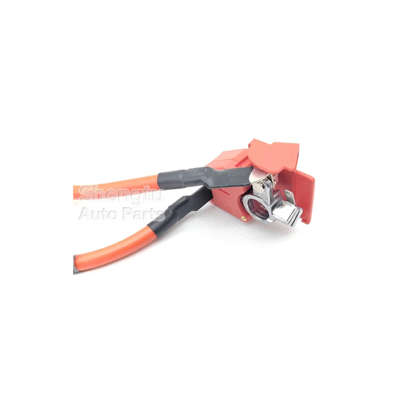 Positive Battery Fuse Cable for BMW F30 F31 F34 F35 M3 F80 F83 F82 F32 F33 F36 M4 3 4 Series 61129259425