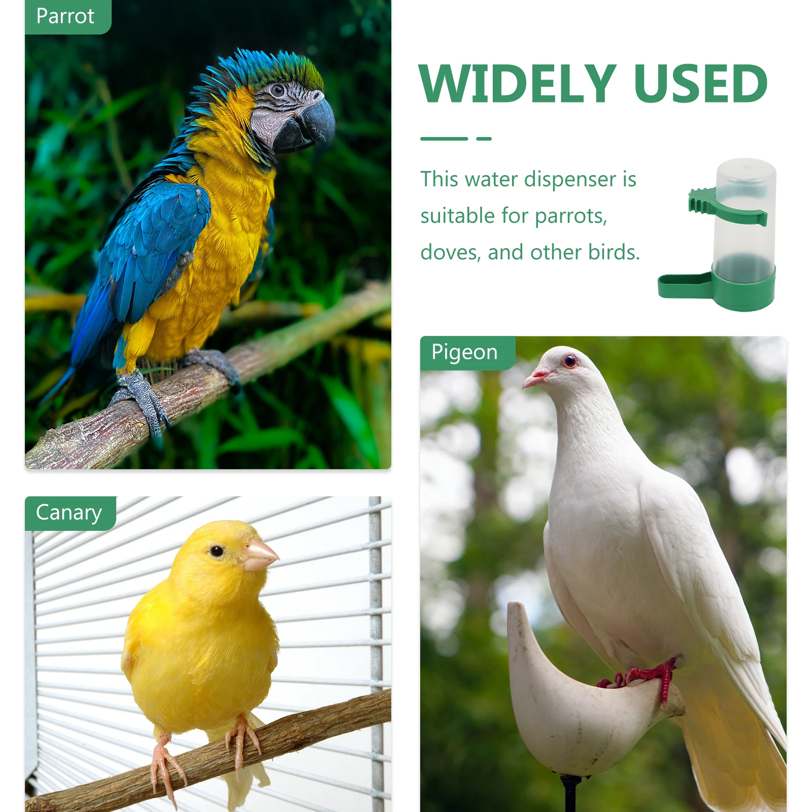 

10pcs Automatic For Birds 1.2 Inch Outlet Self Drinking Bowl Parrots Pigeon Pet Supplies Bird Feeder Cage Decor