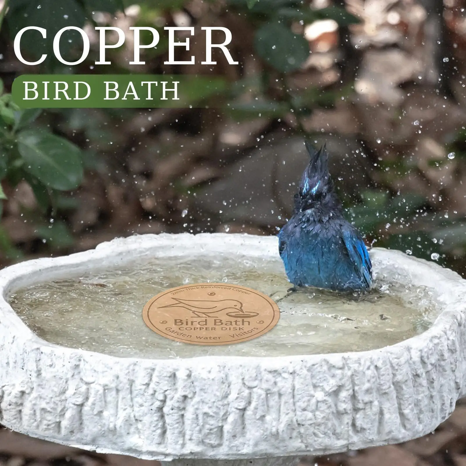 Thumbnail 4 - #2 Best Rated Bird Baths to Buy in 2026