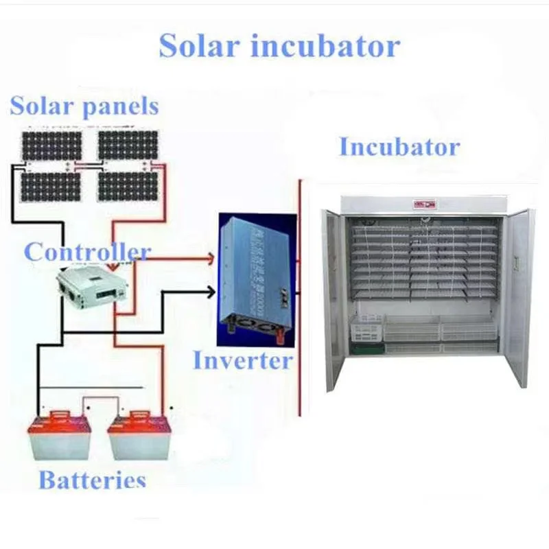 حاضنة بيض أوتوماتيكية 1000 بيضة للدجاج تعمل بالطاقة الشمسية من تولكات
