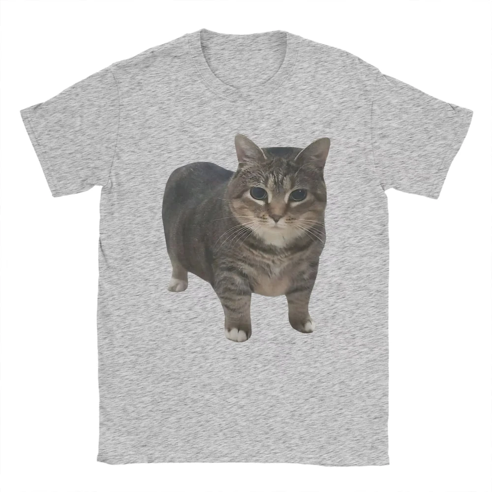Funny Chubby Tabby Cat Meme T Shirt Men Women Cute Realistic Kitty Graphic Oversized Short Sleeve Casual Harajuku Pet Lover Tee