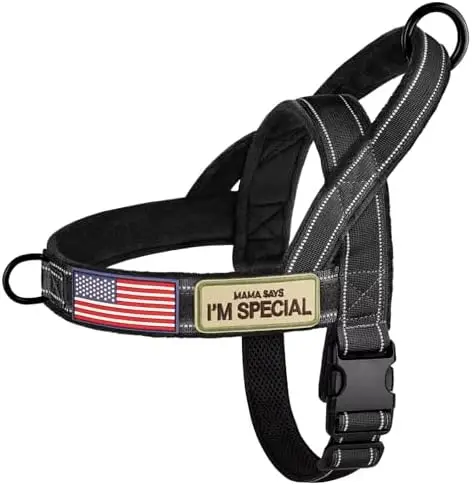

Easy Dog Harness & Vest Set for Walking & Training