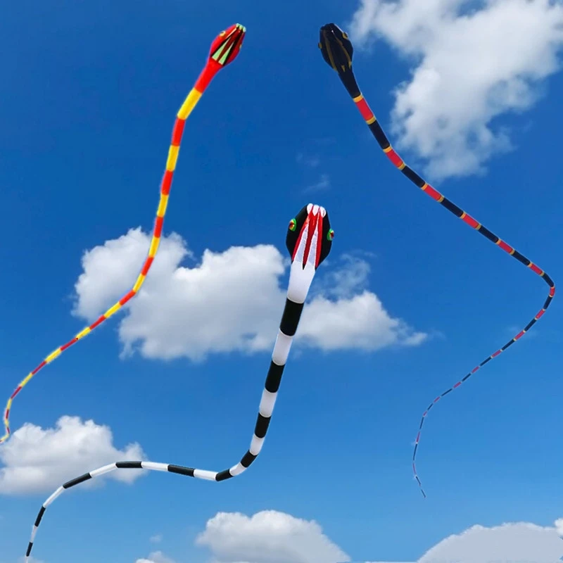 

Professional kites snake soft kites for adults inflatable toys giant flying kite surfing kite dragon kite parplan kite reel fun