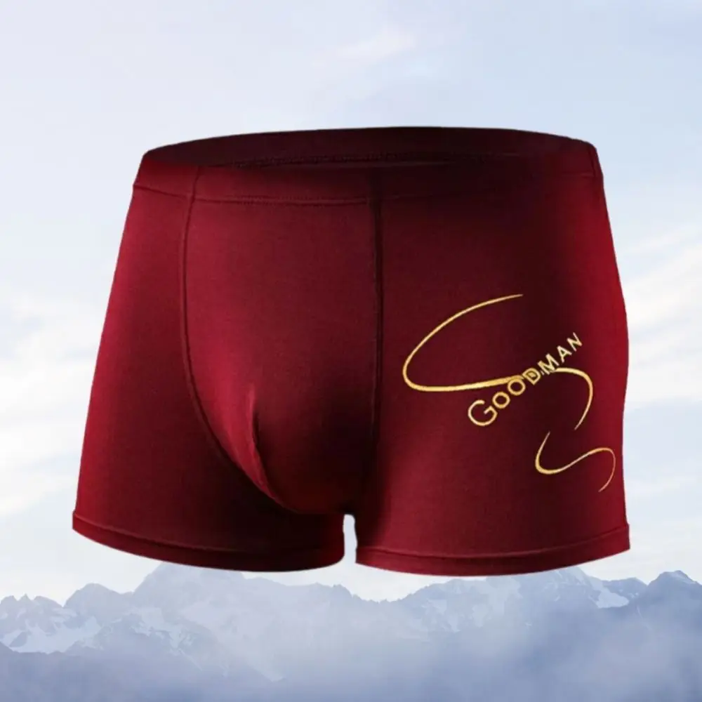 Breathable Seamless Men's Boxer Briefs Large Size Mid Waist Shorts Underpants Elastic 4PCS English Letter Panties Male