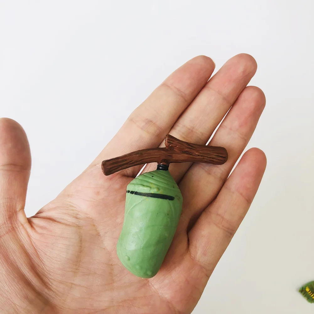 Ciclo de vida da borboleta jogo de ciclo de crescimento com cartões cognitivos montessori brinquedos educativos materiais de biologia ferramentas de aprendizagem precoce