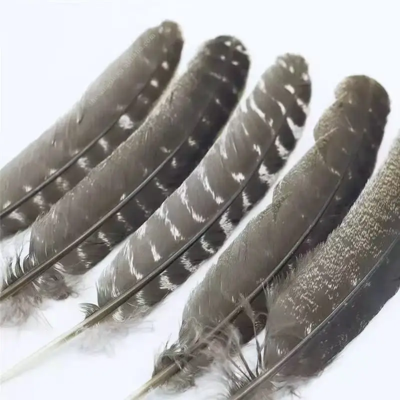 

100PCS 25-30cm Natural Feather DIY Decoration Handicraft Material Flower Turkey Nest Feather Feather