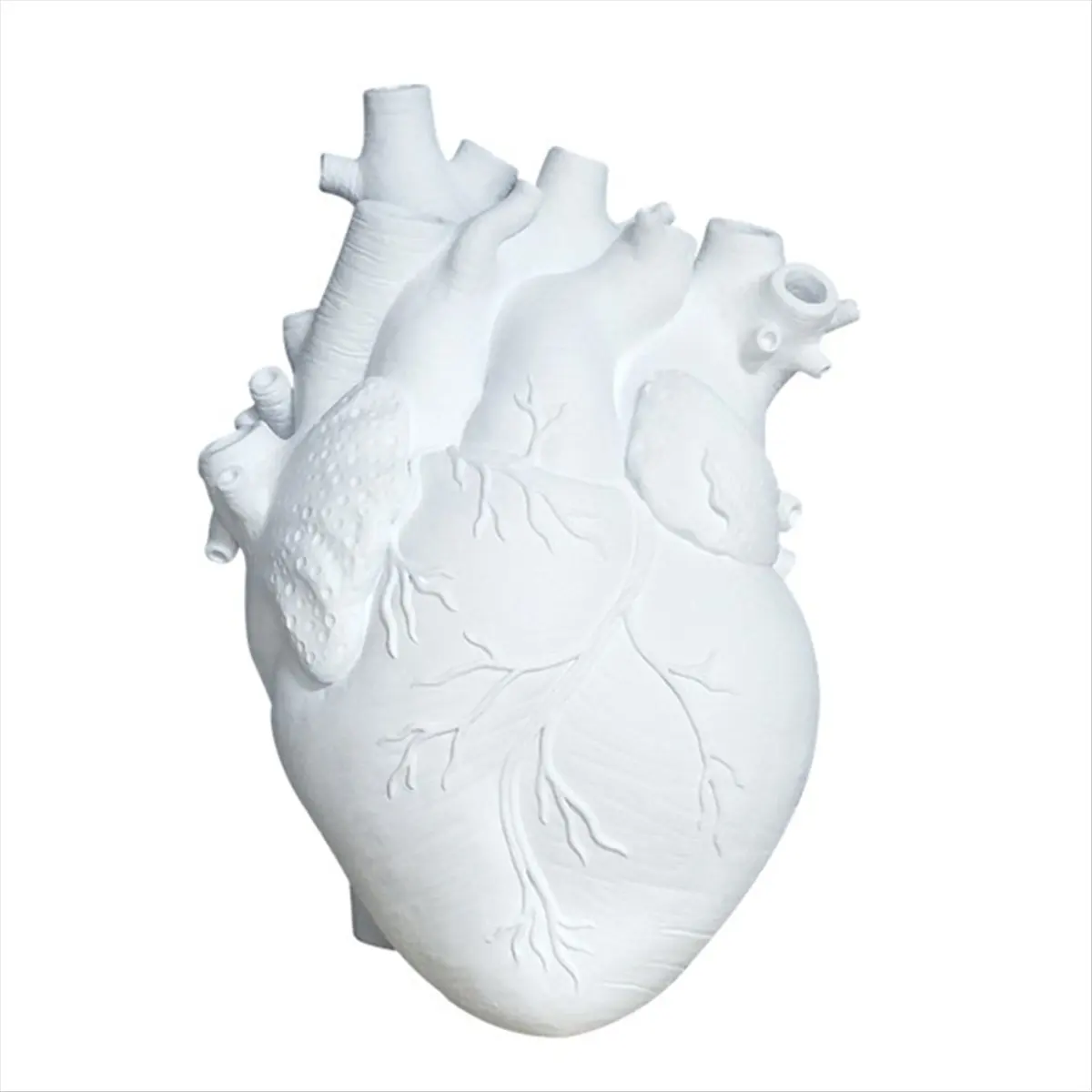 HITL Anatomical Heart Vase Resin Flower Pot Heart Shape Vase Countertop Desktop Ornament Table Desk Flower Vase Decor,White