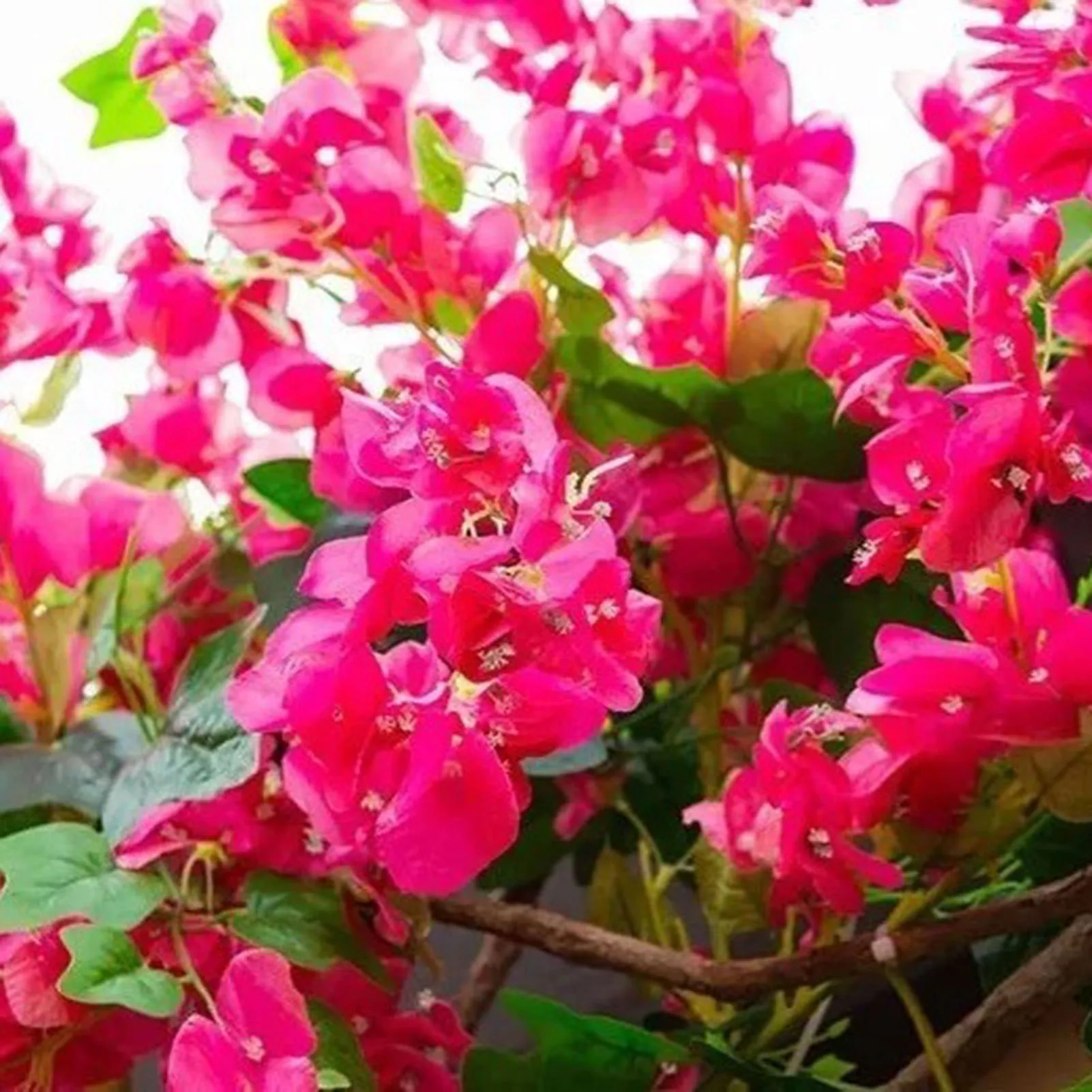 120cm Artificial Silk Bougainvillea Branches Faux Rose Red Bougainvillea With Iron Wire Stems For Wedding Decoration