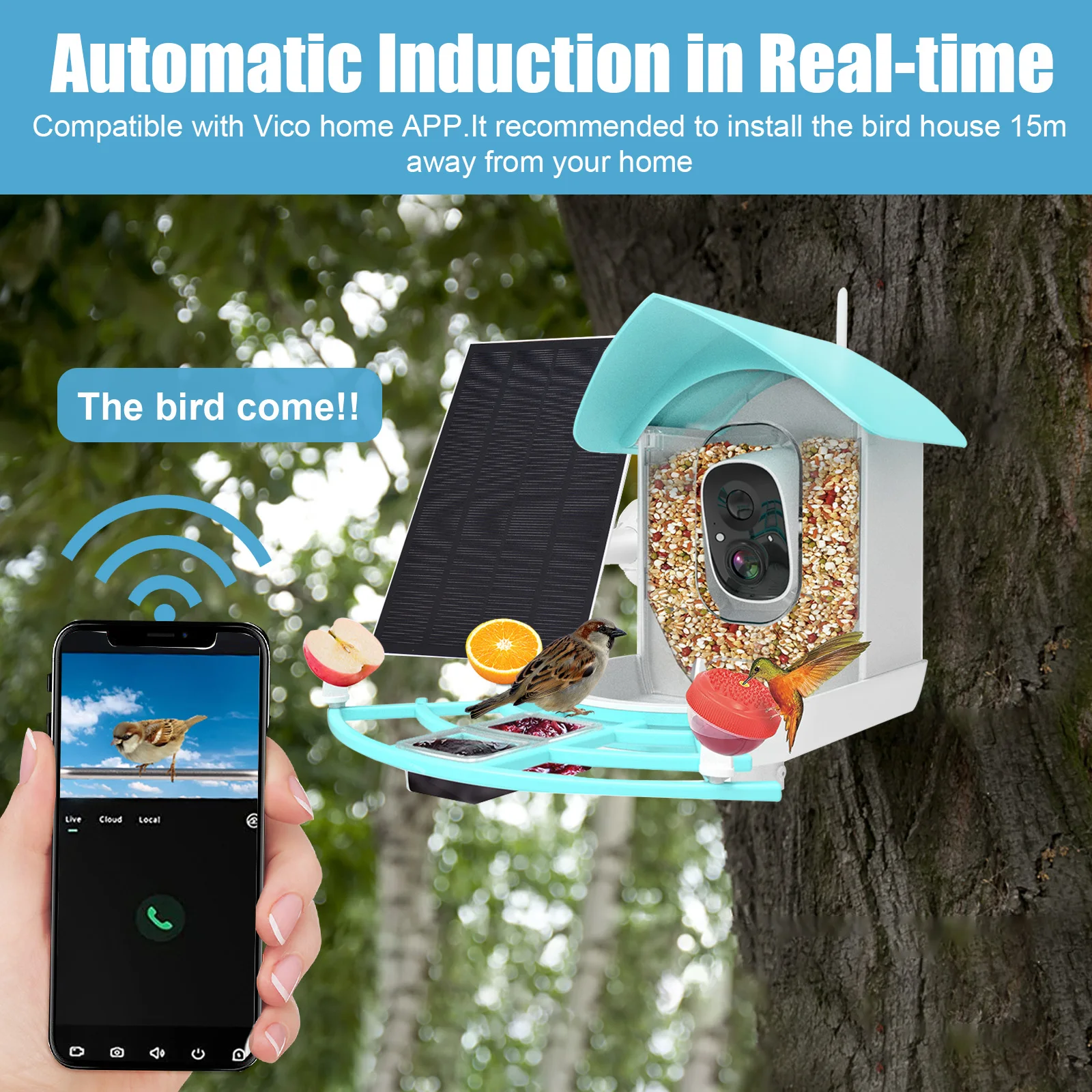 1080P WiFi feeder camera Wireless Outdoor Solar Powered Bird Buddy Waterproof Smart Bird Feeder AI Intelligent Recognition Birds