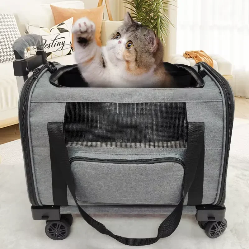 Airline Approved Portable Small Dog & Cat Pet Carrier Solid Pattern Soft Sided Travel Suitcase Zipper Closure Fiber Stroller