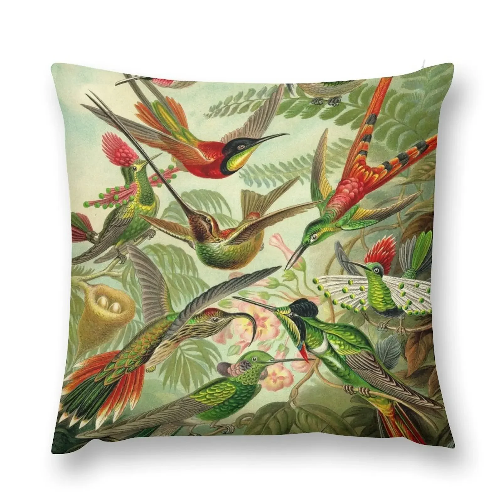 Colibri - Ernst Haeckel Throw Pillow Decorative pillowcase Pillowcases Cushion Covers Sofa christmas pillowcases pillow