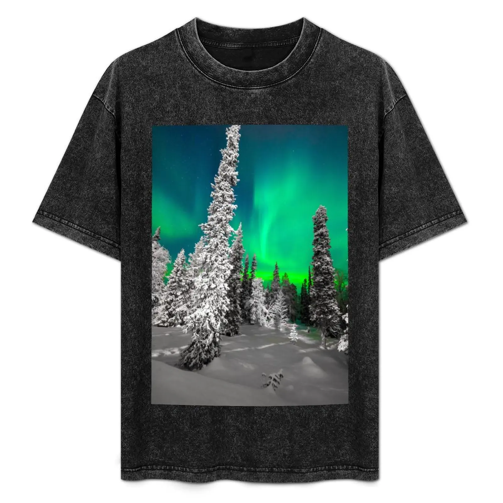 Northern Lights, Aurora Borealis, Arctic, Winter, Alaska T-Shirt oversizeds anime t shirts vintage t shirts sweat shirts, men